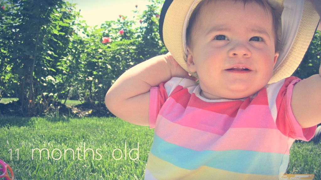 11 months old