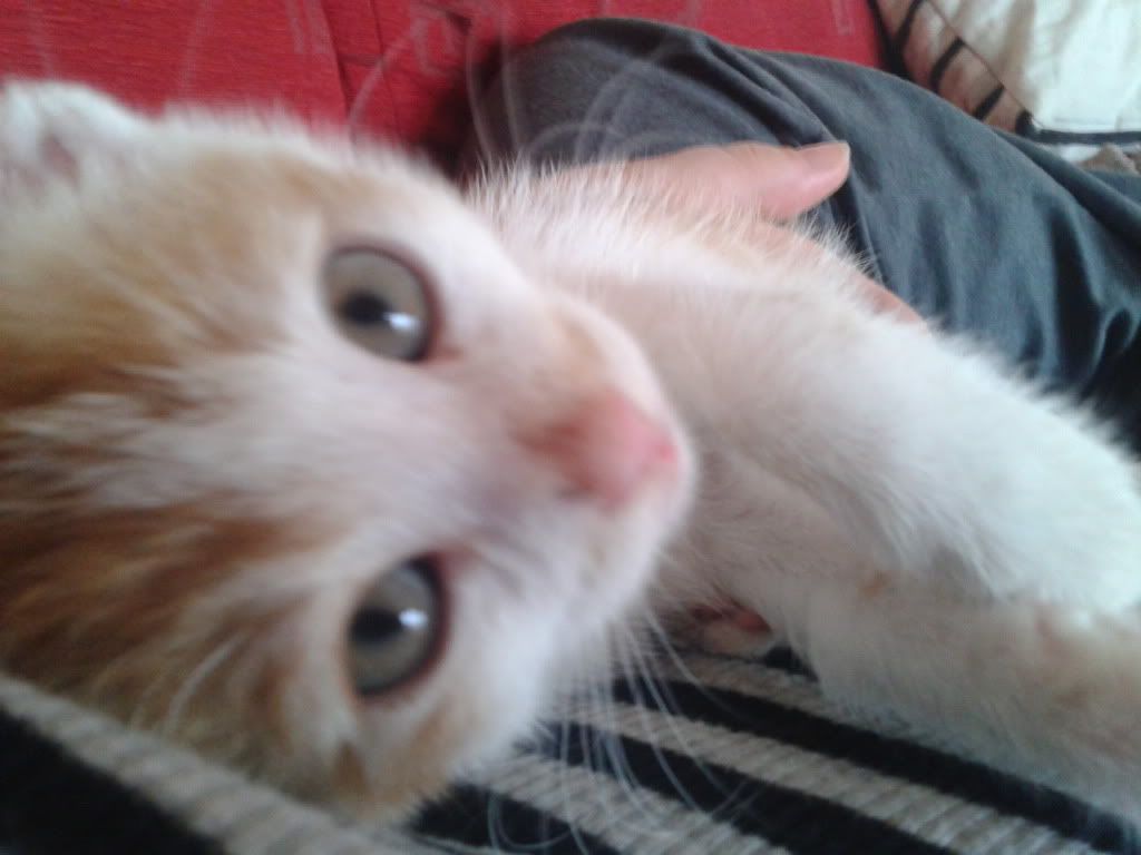 2012-07-10172823.jpg