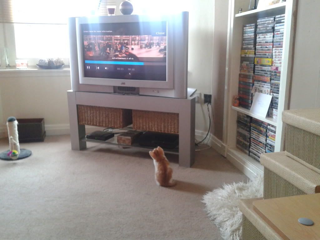2012-07-11104858.jpg