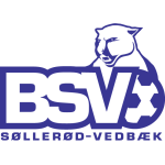 bsv_logo_zpsyzp0kc31.png