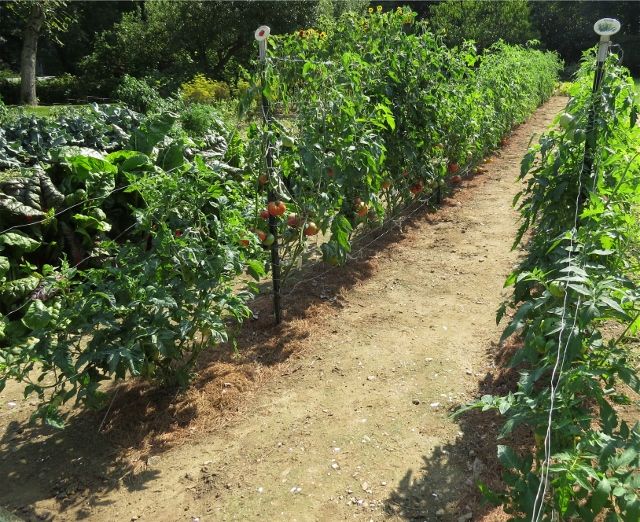  photo IMG_1246a640x522_zps4da8a621.jpg