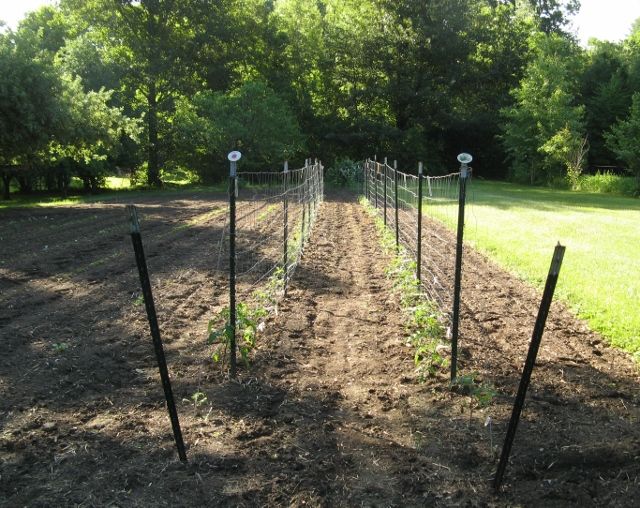  photo IMG_3301640x508_zps4d28d53c.jpg