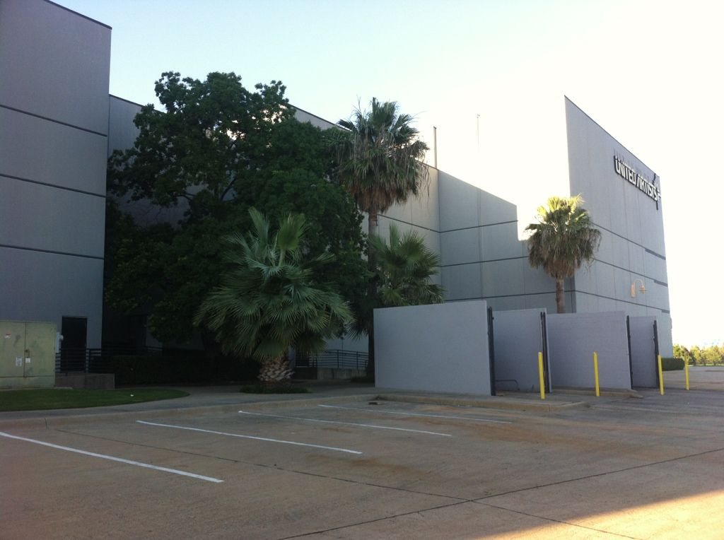 Tallest Living palms in DFW DISCUSSING PALM TREES WORLDWIDE PalmTalk