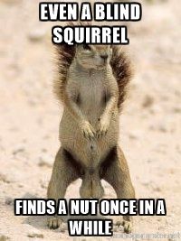 Image result for blind squirrel meme