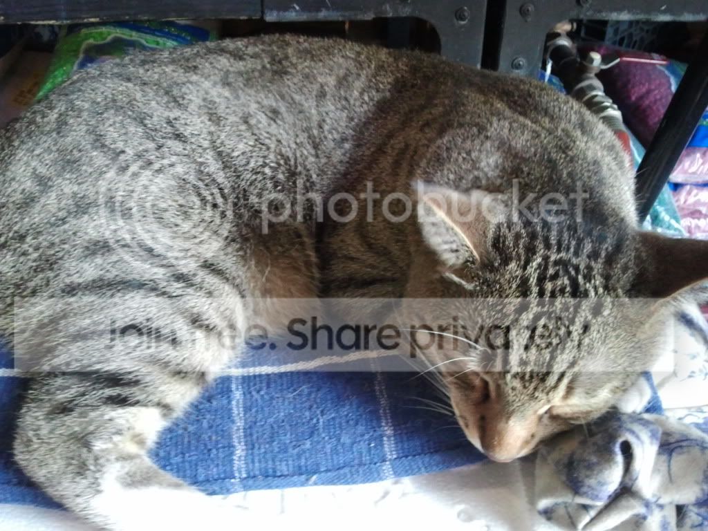 2011-10-10154047.jpg
