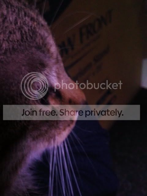 2011-12-23201727.jpg