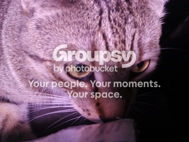 2012-01-13152058.jpg