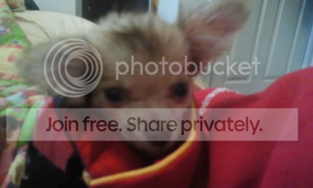 2012-03-06102413.jpg