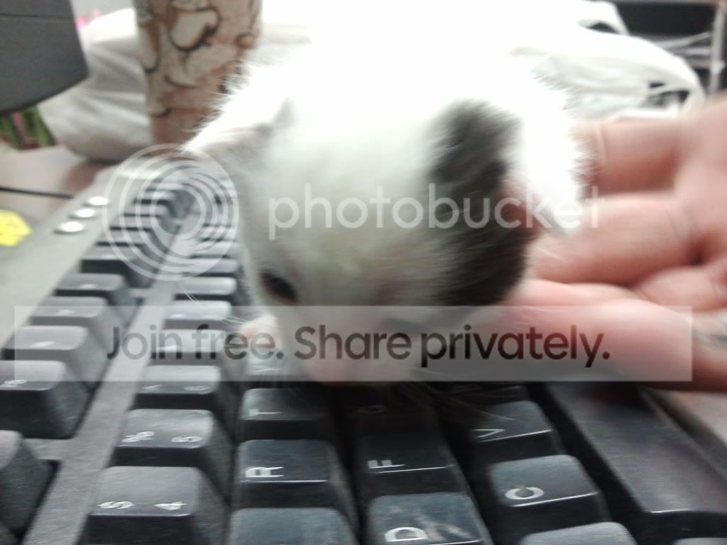 2012-03-13204558.jpg