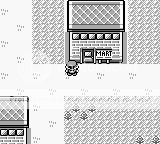 [Rated M] Let's Play Pokemon Red! (20th Anniversary Celebration)
