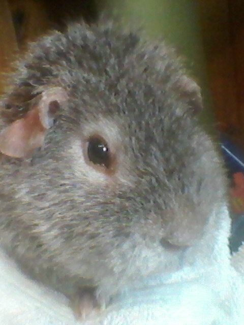 2012-11-04145654.jpg